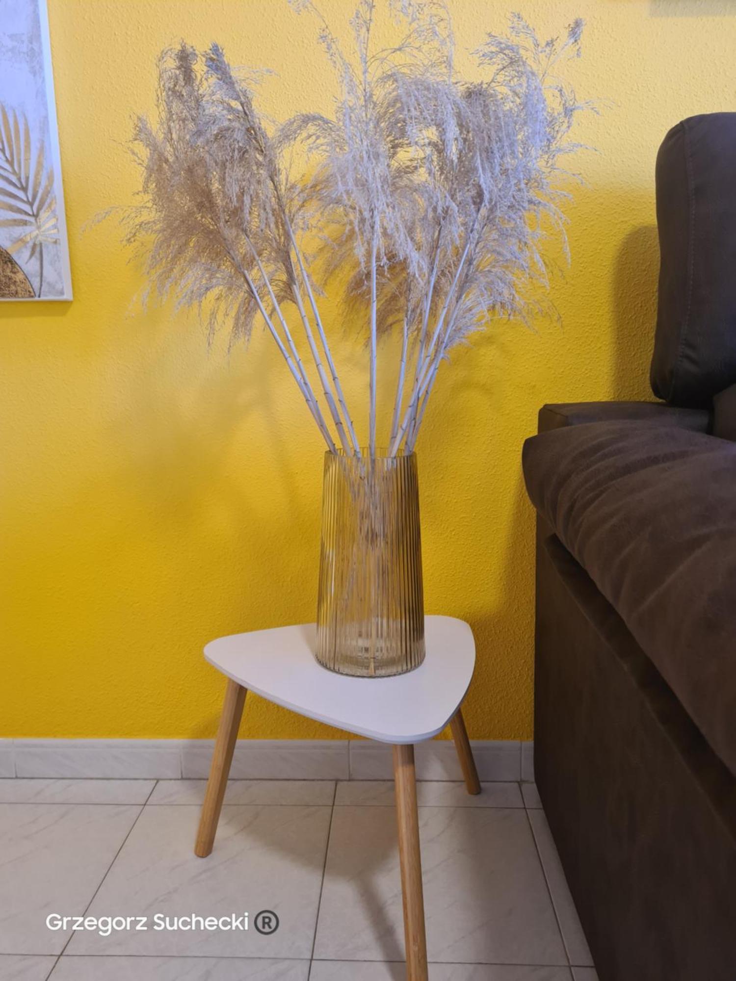 Apartamento Parquemar Apartment La Mata  Ngoại thất bức ảnh